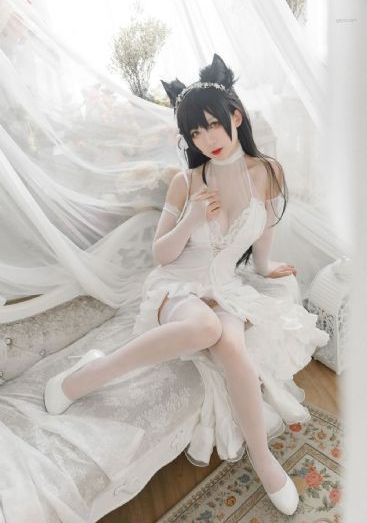 烽火芳菲